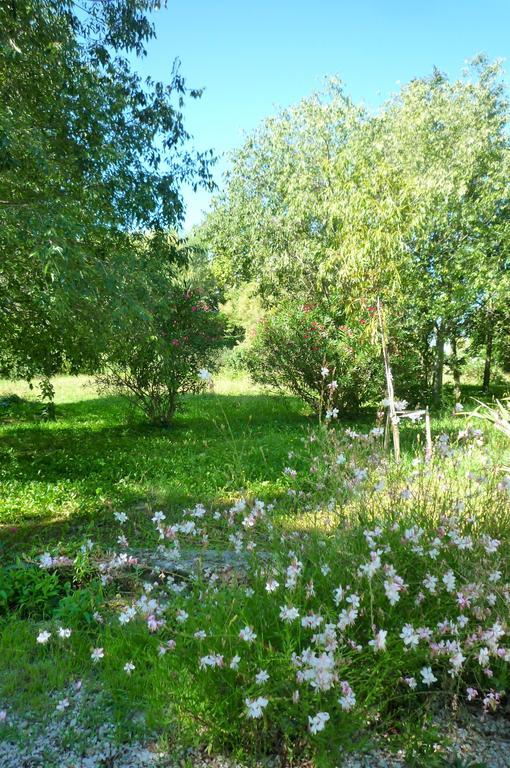 Le Mas De La Chouette Saint-Rémy-de-Provence Exteriör bild