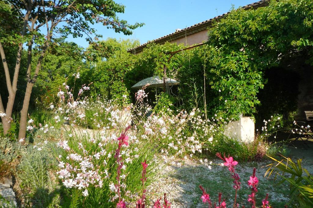 Le Mas De La Chouette Saint-Rémy-de-Provence Exteriör bild