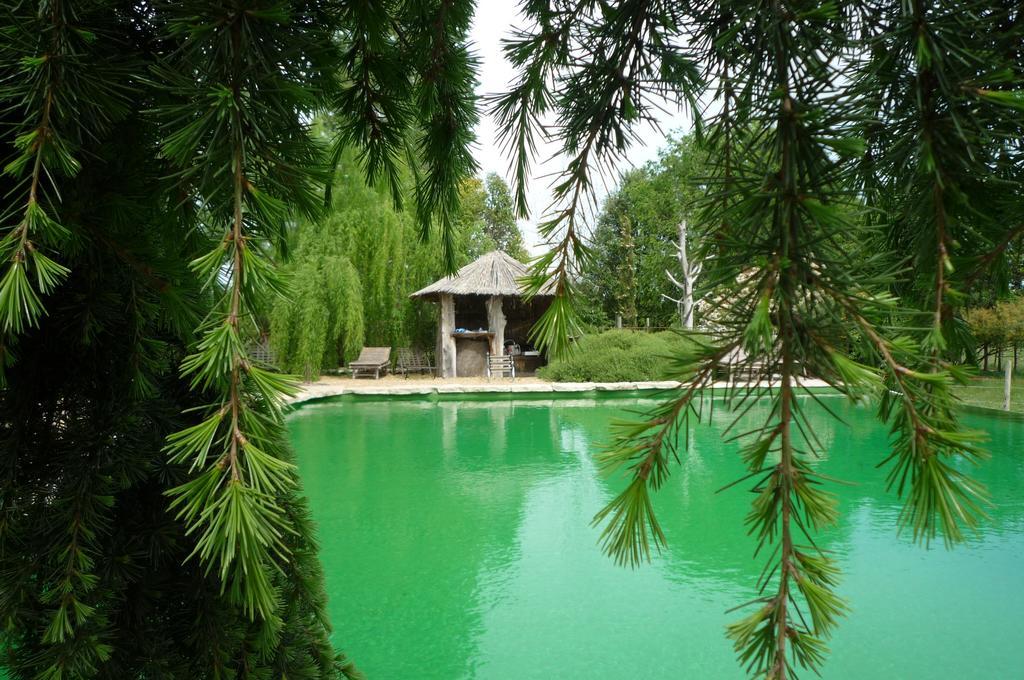 Le Mas De La Chouette Saint-Rémy-de-Provence Exteriör bild